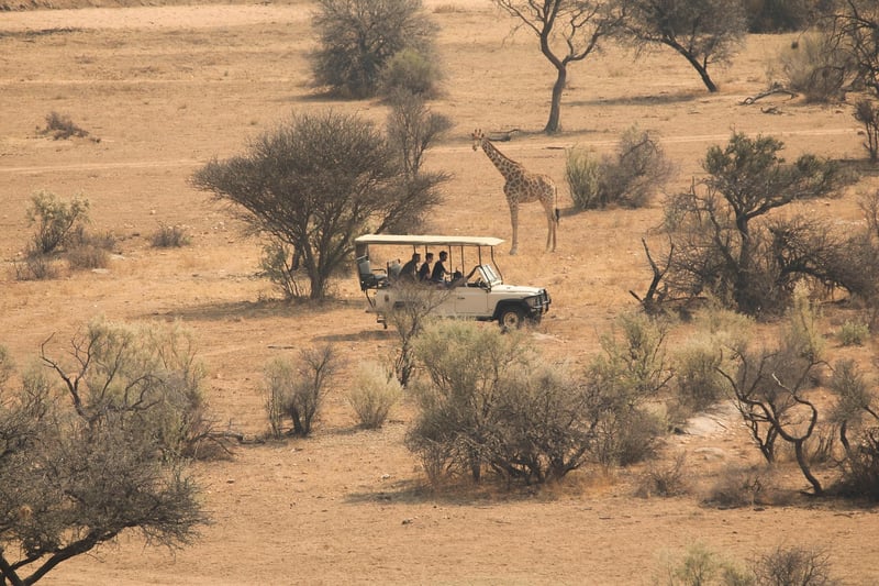Bush Exploration